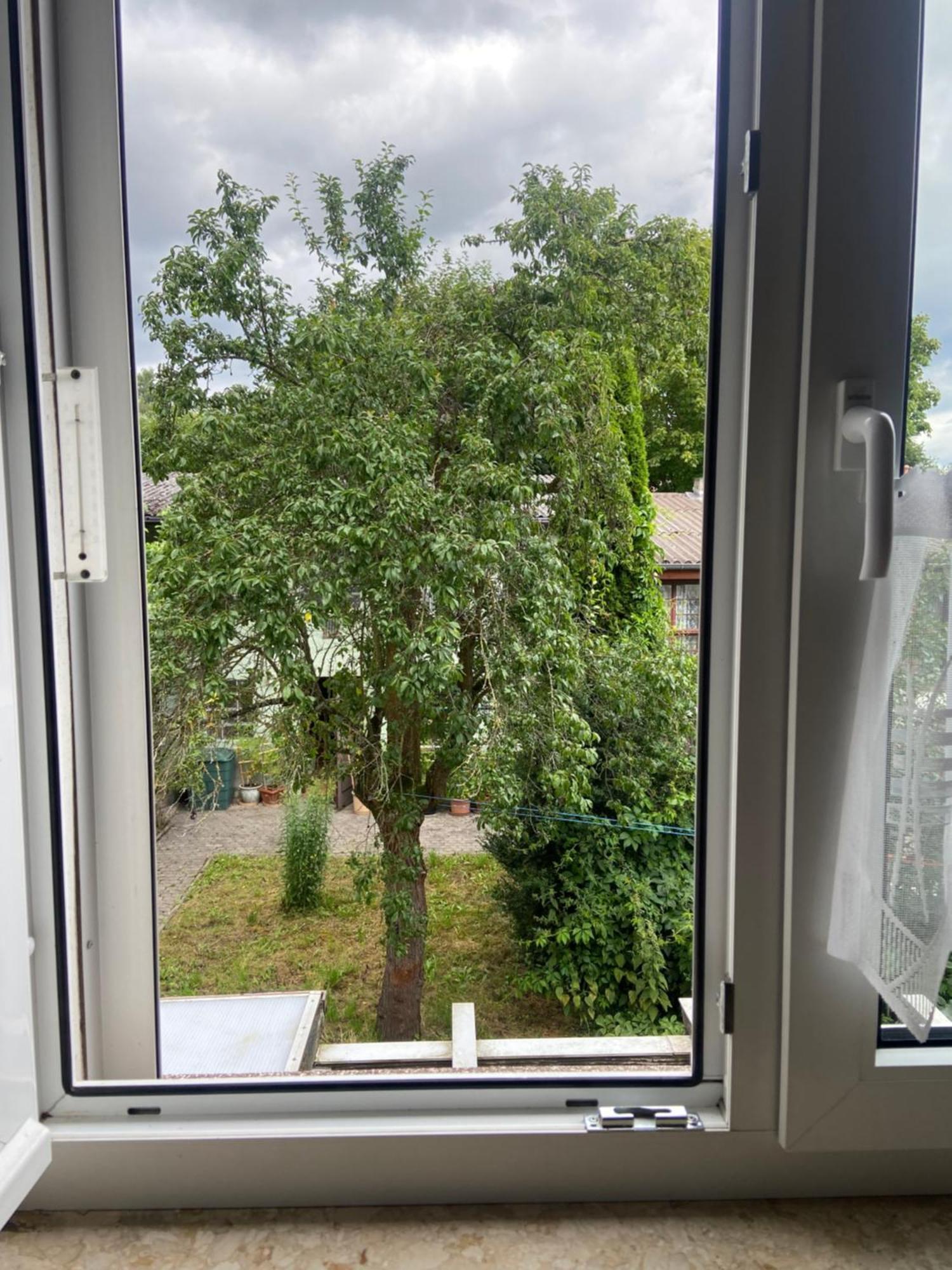 Stadtzentrumnahe Wohnung An Der Gruenen Aue, Kostenfreier Parkplatz フルダ エクステリア 写真